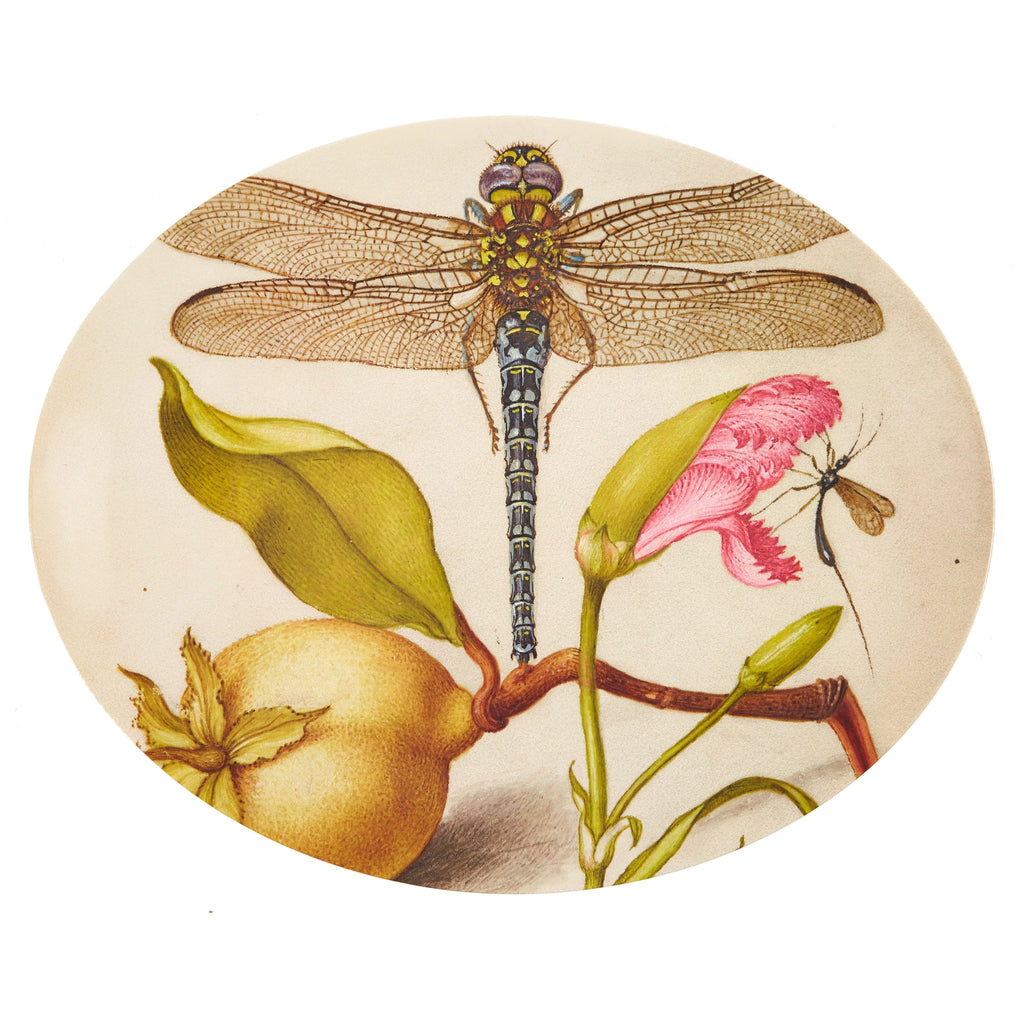 Siren Song - Botaniste Oval Tray