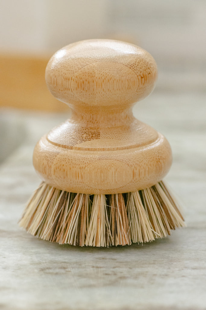 No Tox Life - Casa Agave Pot Scrubber Brush