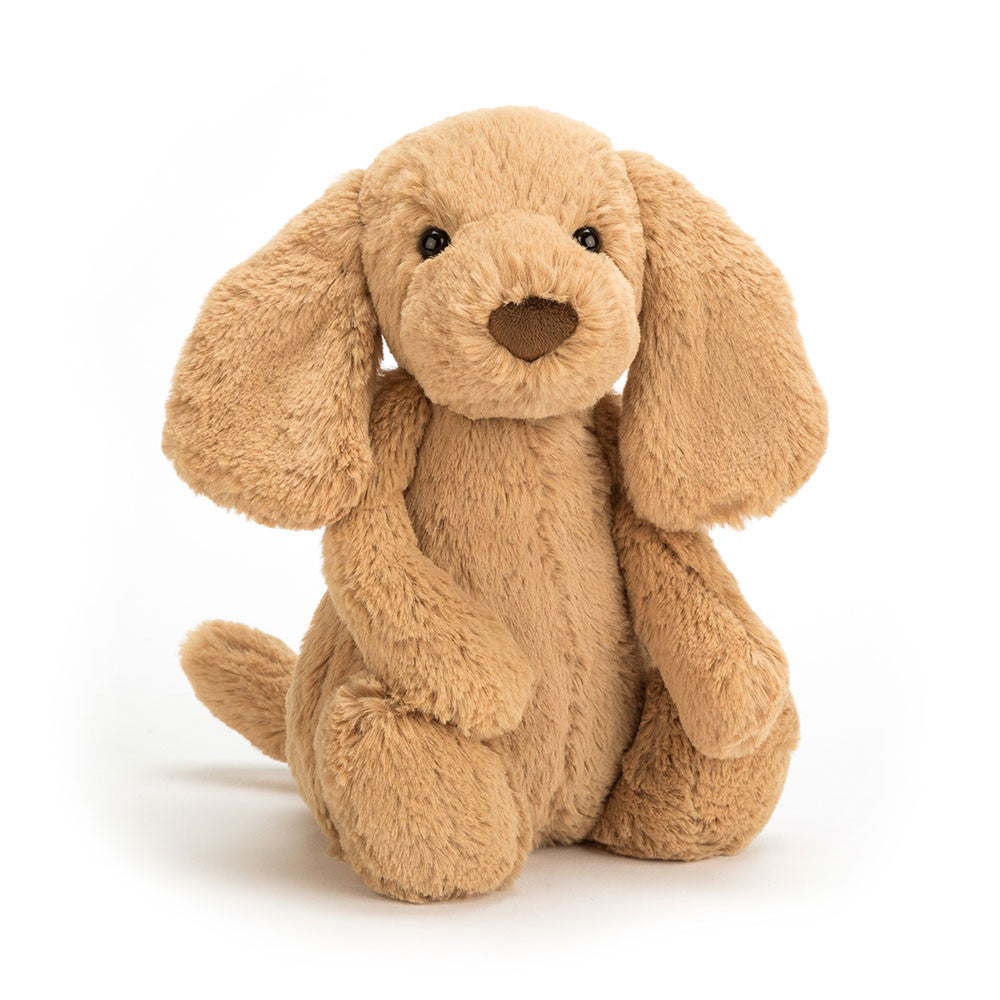 Jellycat - Bashful Toffee Puppy