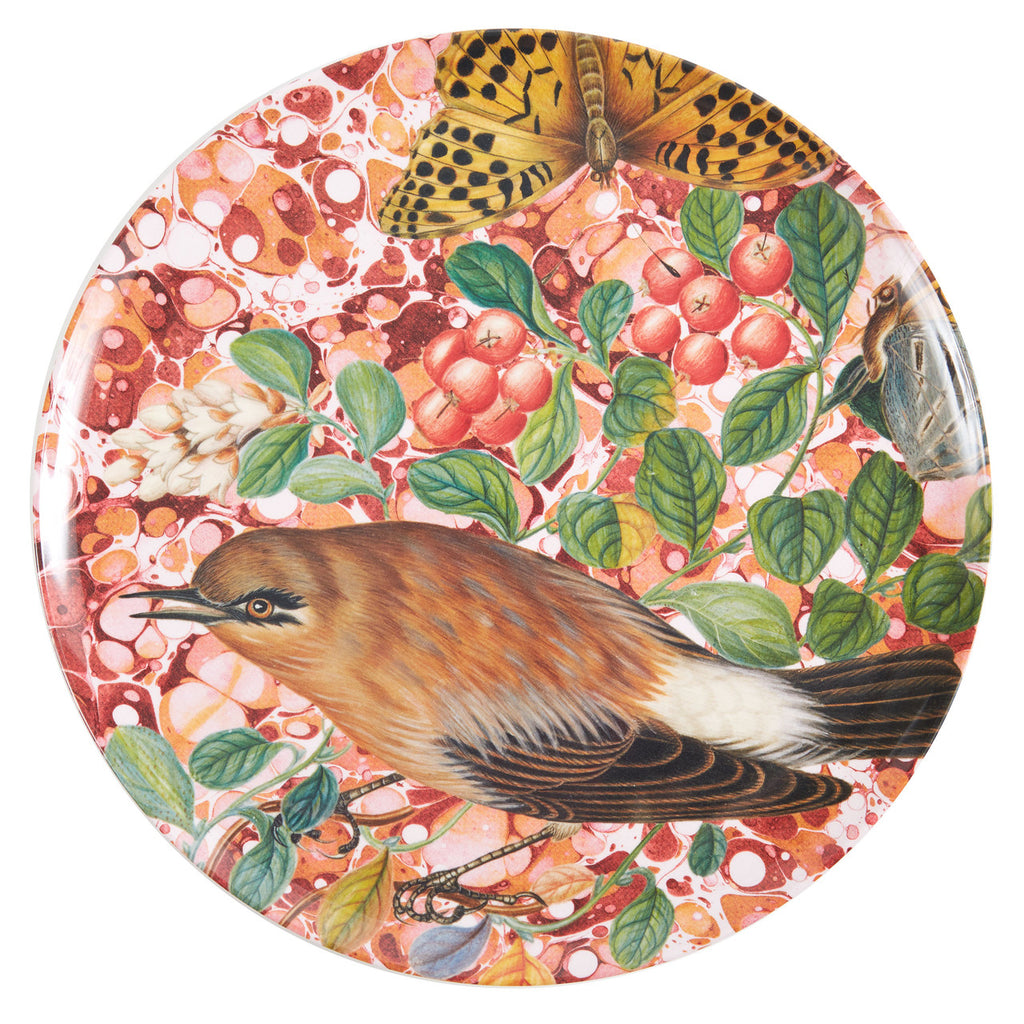 Thomas Paul - Flora & Fauna Dinner Plates, Set of 4, Melamine