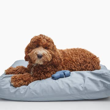 Fable Pet Beds