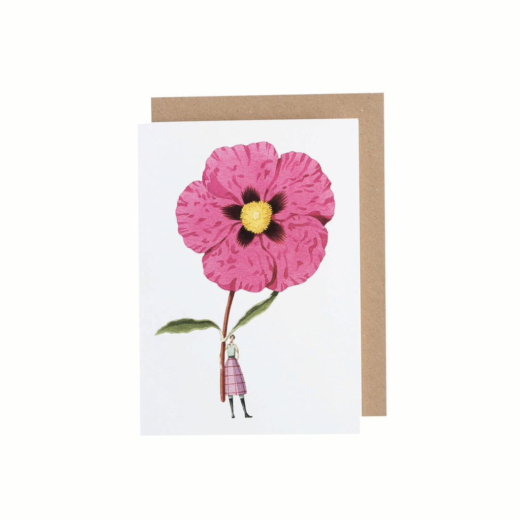 Hester & Cook - Laura Stoddart Greeting Cards