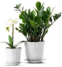Juliska - Berry & Thread Berry Planters with Saucer