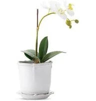 Juliska - Berry & Thread Berry Planters with Saucer
