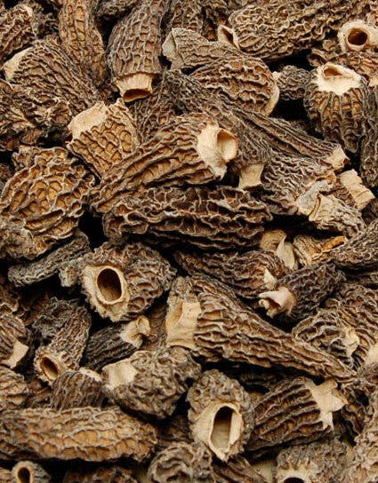 Wine Forest Ltd. - Dried Morel Mushrooms