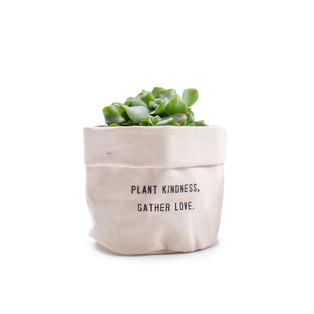 Sugarboo - PLANT KINDNESS GATHER LOVE - SMALL CANVAS PLANTER