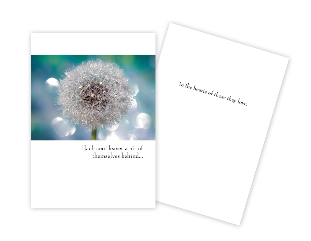 Sun Day Greeting Cards
