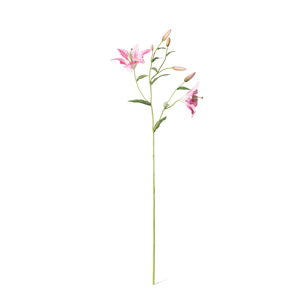 Park Hill - Pink Oriental Lily Stem