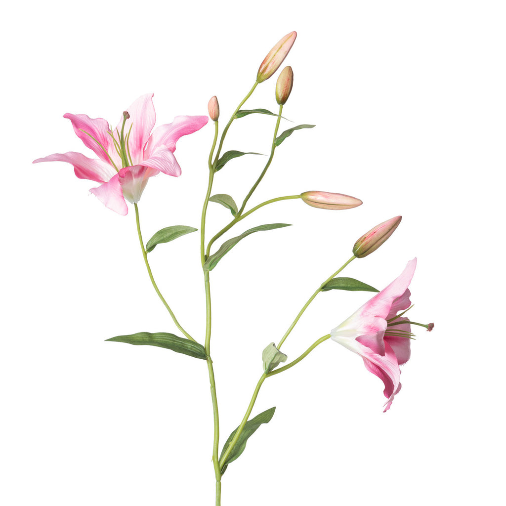 Park Hill - Pink Oriental Lily Stem