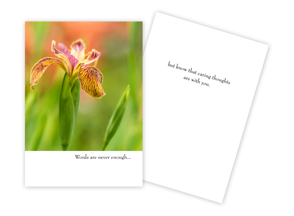 Sun Day Greeting Cards