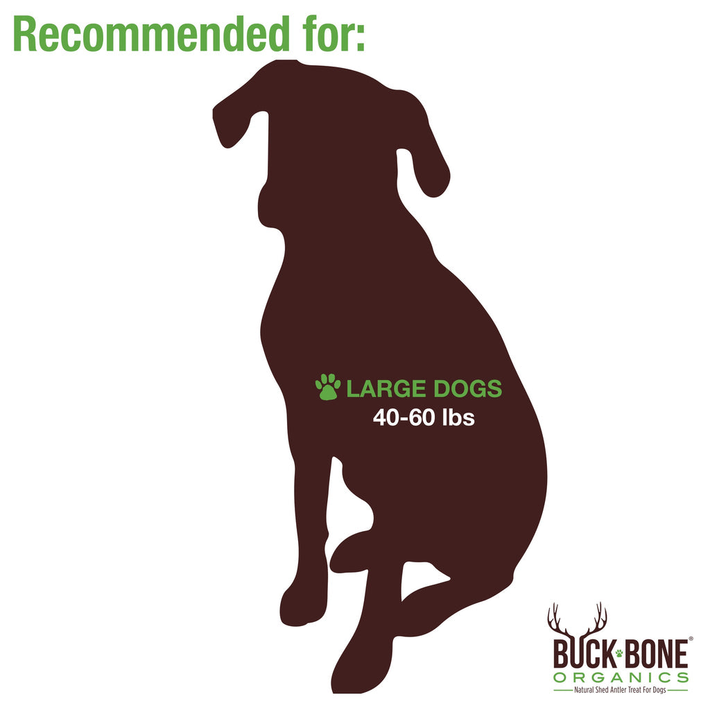 Buck Bone Organics - Elk Antler Dog Chew, Large