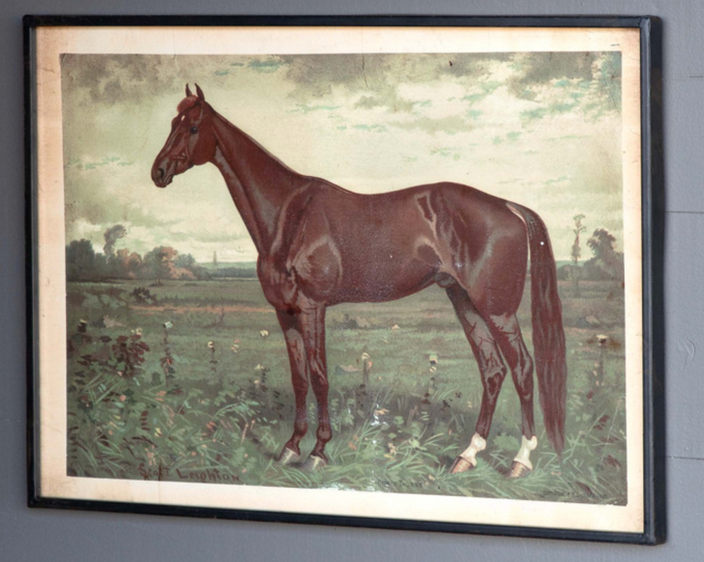 Park Hill - Prized Horse Facing Left in Print