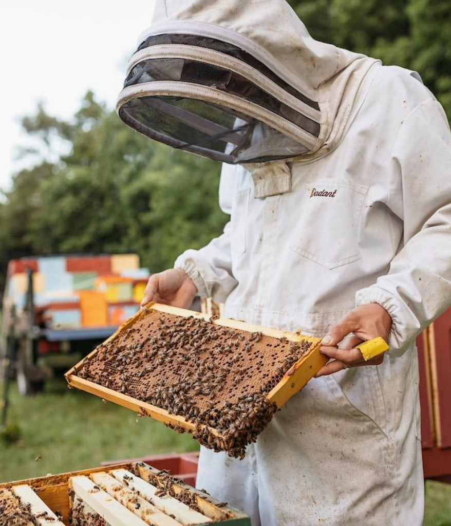 Republic Of Vermont - Raw Honey / Half a Pound