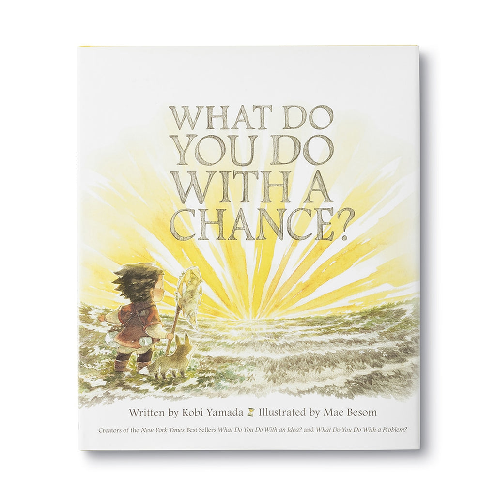 Compendium - What Do You Do With A Chance? book