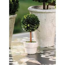 Zodax - Topiary 6" Boxwood