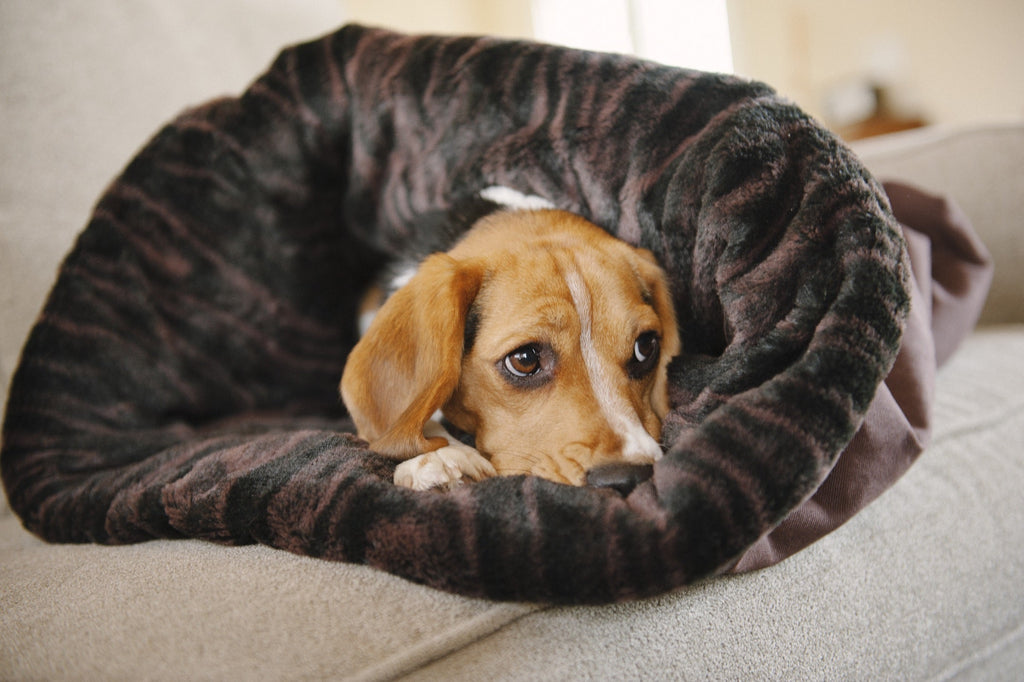 P.L.A.Y. Pet Lifestyle and You - Snuggle Bed - Husky Gray