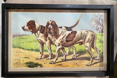 Park Hill - Tall Hound Dog Print