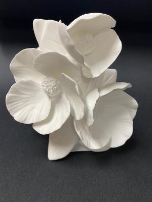 Zodax - Cameo Porcelain Vase