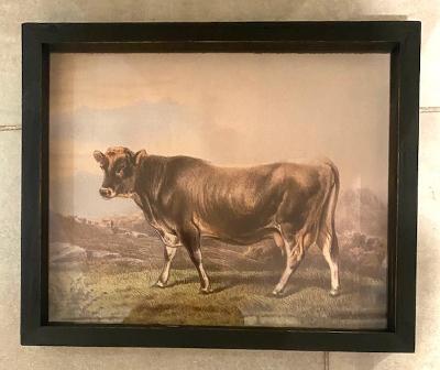 Park Hill - Aged Cow Framed Print