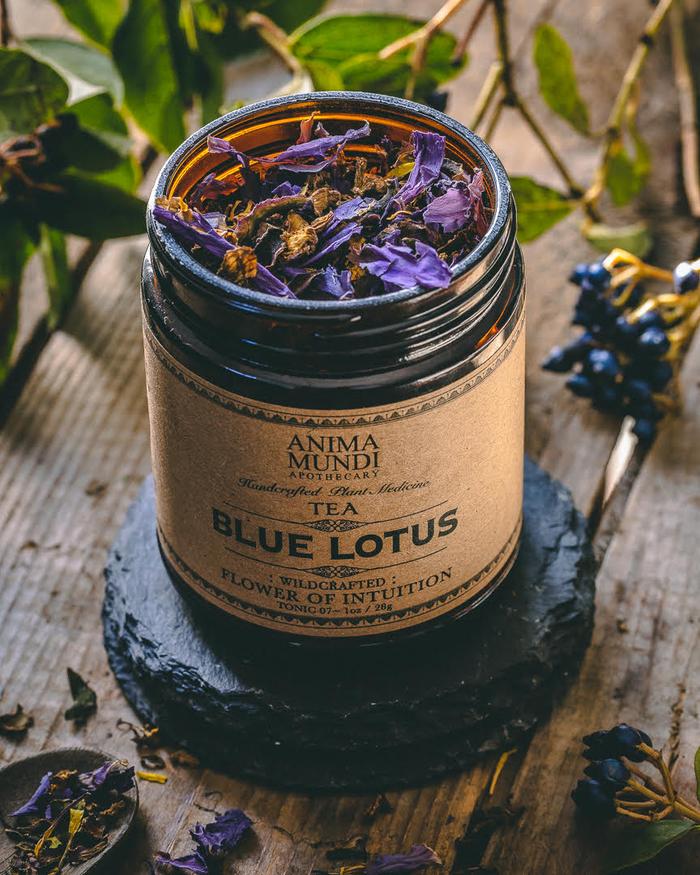 ANIMA MUNDI APOTHECARY- Blue Lotus : Flower of Intuition Tea